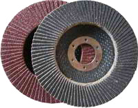 Flap Disc